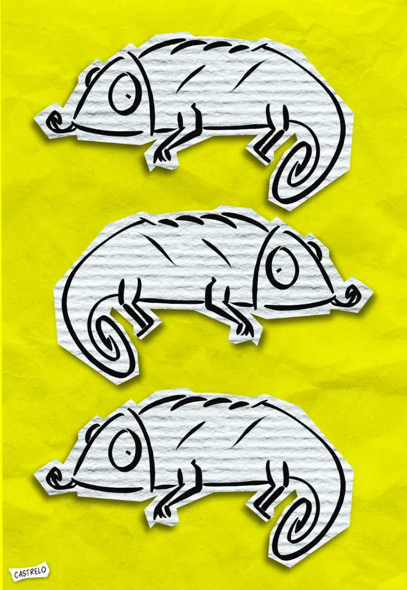 Alberto Castrelo Art Cajón Desastre 04