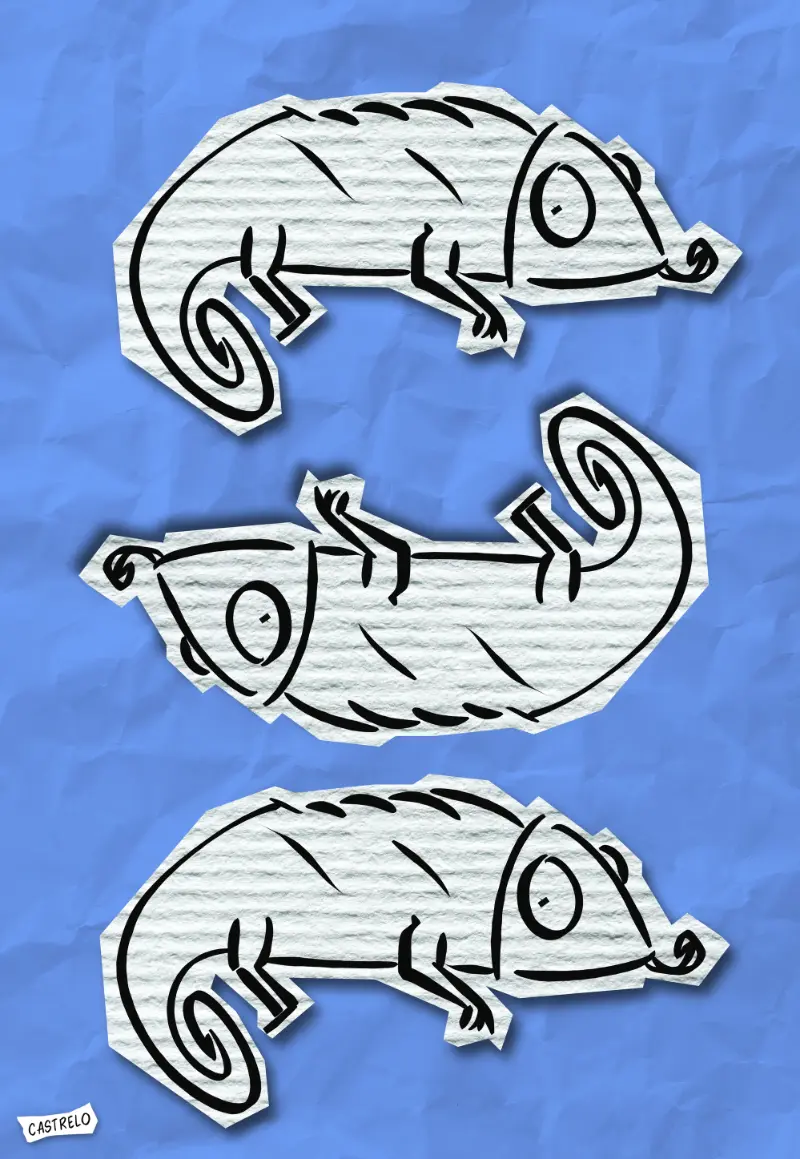 Alberto Castrelo Art Cajón Desastre 05