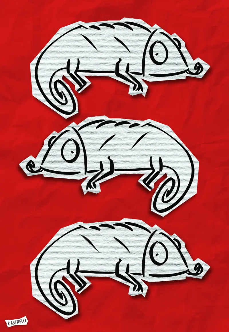 Alberto Castrelo Art Cajón Desastre 06