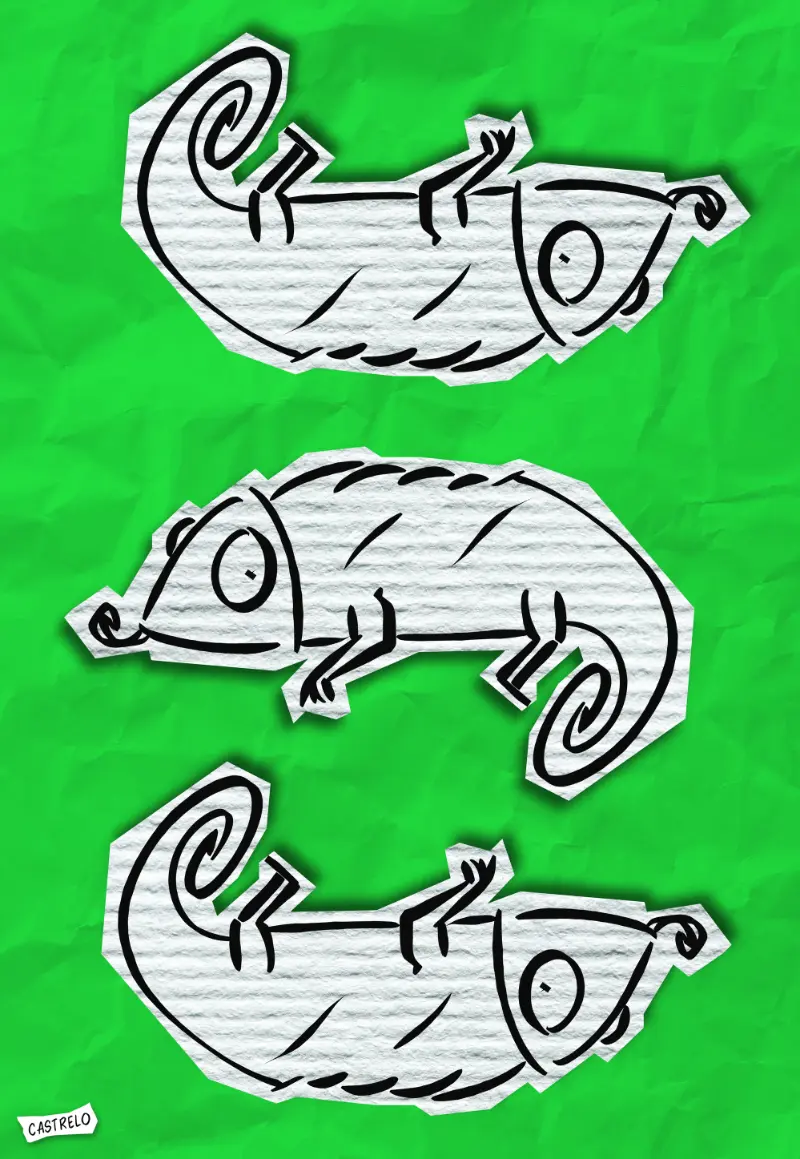 Alberto Castrelo Art Cajón Desastre 07